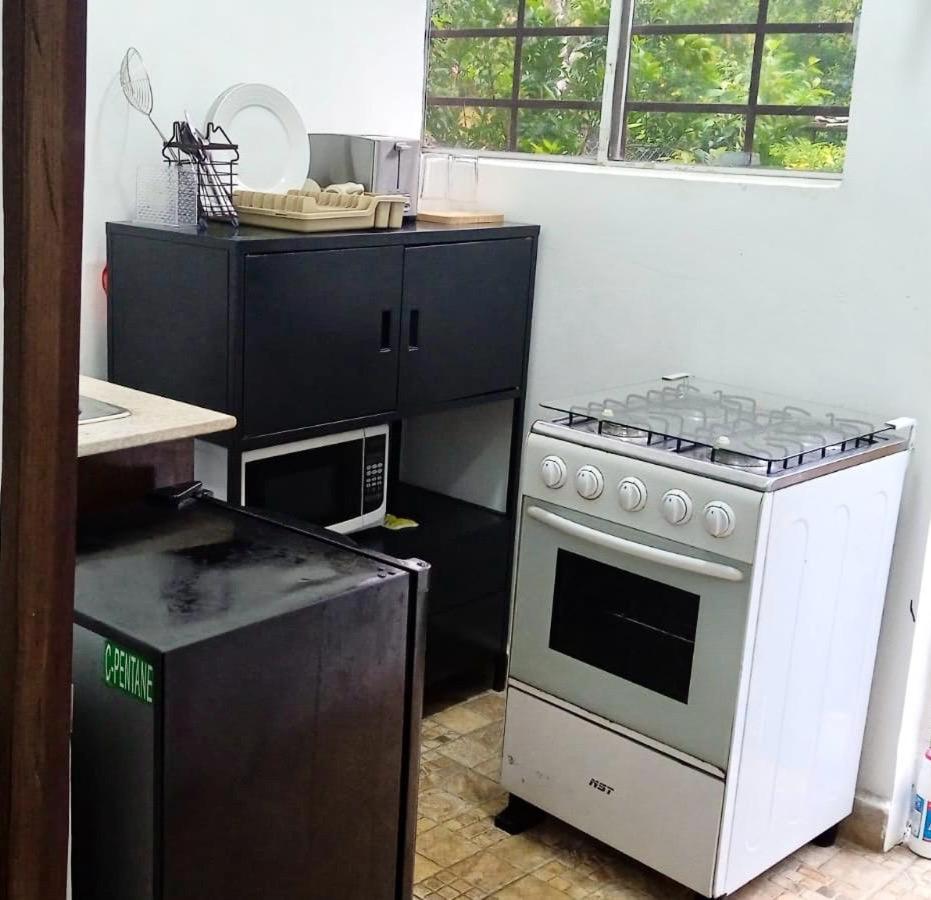 Hotel Ecologico Bluerock San José de San José de David Eksteriør bilde